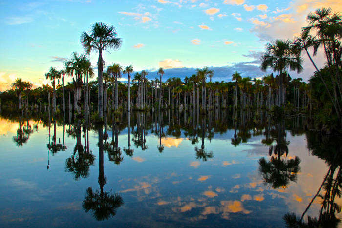 Cachoeiras e paisagens naturais